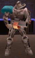 raistlin.jpg (6085 Byte)