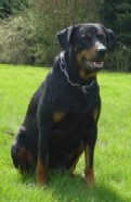 Sam II